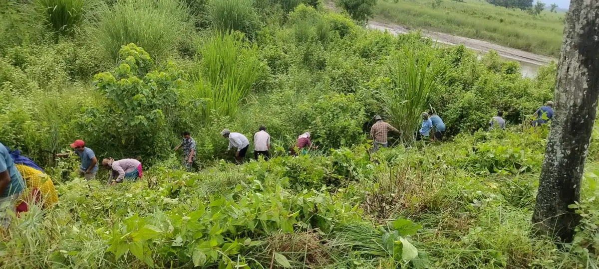 माडी जाने सडकको झाडी सफाइ गरिँदै